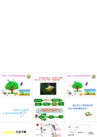 八年级生物上册 第四单元第七章动物在生物圈中的作用课件2 冀教版