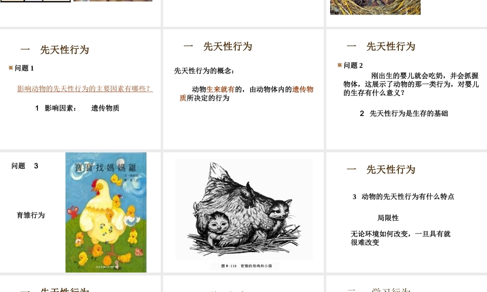 八年级生物上册 第五单元 第二章 第二节《先天性行为和学习行为》课件2 （新版）新人教版
