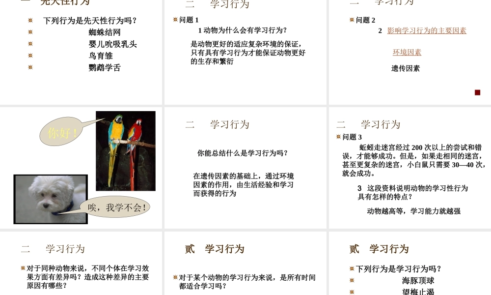 八年级生物上册 第五单元 第二章 第二节《先天性行为和学习行为》课件2 （新版）新人教版