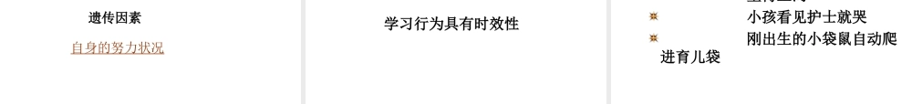 八年级生物上册 第五单元 第二章 第二节《先天性行为和学习行为》课件2 （新版）新人教版