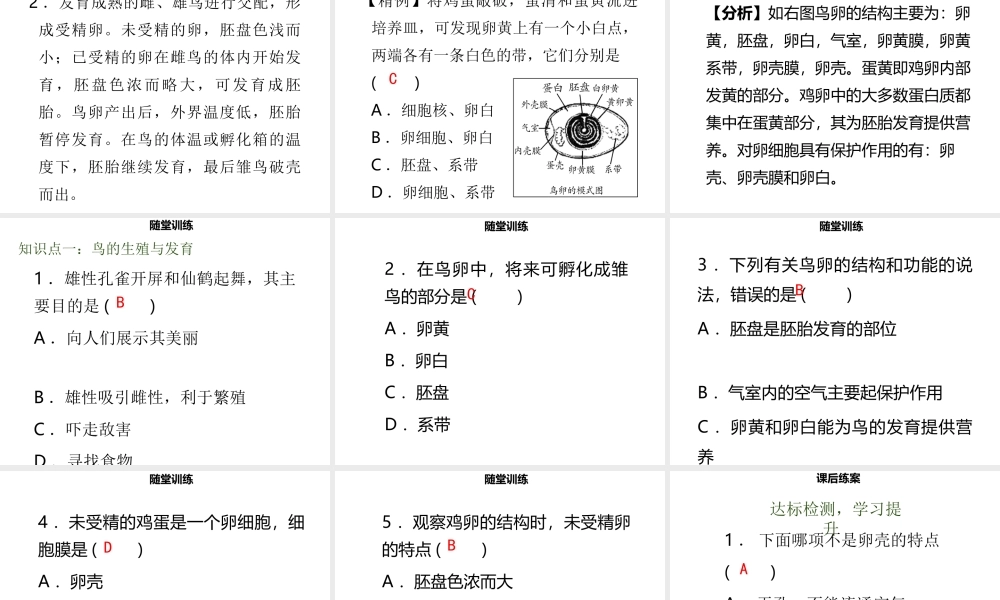 八年级生物上册 第六单元 第19章 第2节 动物的生殖和生育（第2课时 鸟类的生殖和发育）习题课件 （新版）北师大版-（新版）北师大版初中八年级上册生物课件