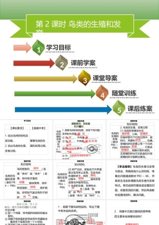 八年级生物上册 第六单元 第19章 第2节 动物的生殖和生育（第2课时 鸟类的生殖和发育）习题课件 （新版）北师大版-（新版）北师大版初中八年级上册生物课件