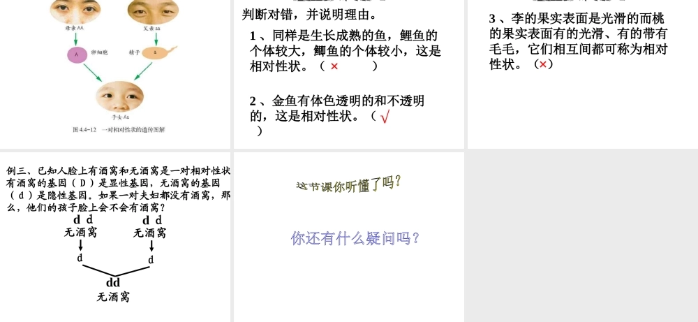 八年级生物上册 第四单元第四章 第三节性状的遗传课件 济南版