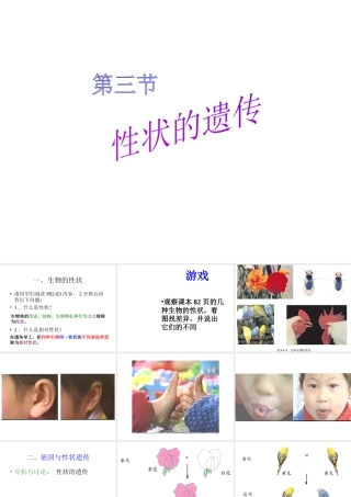 八年级生物上册 第四单元第四章 第三节性状的遗传课件 济南版