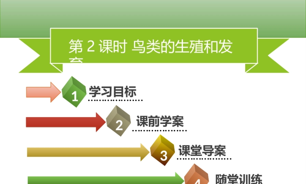 八年级生物上册 第六单元 第19章 第2节 动物的生殖和生育（第2课时 鸟类的生殖和发育）习题课件 （新版）北师大版-（新版）北师大级上册生物课件