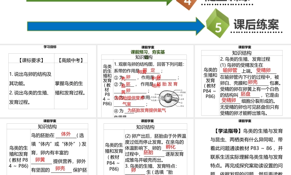 八年级生物上册 第六单元 第19章 第2节 动物的生殖和生育（第2课时 鸟类的生殖和发育）习题课件 （新版）北师大版-（新版）北师大级上册生物课件