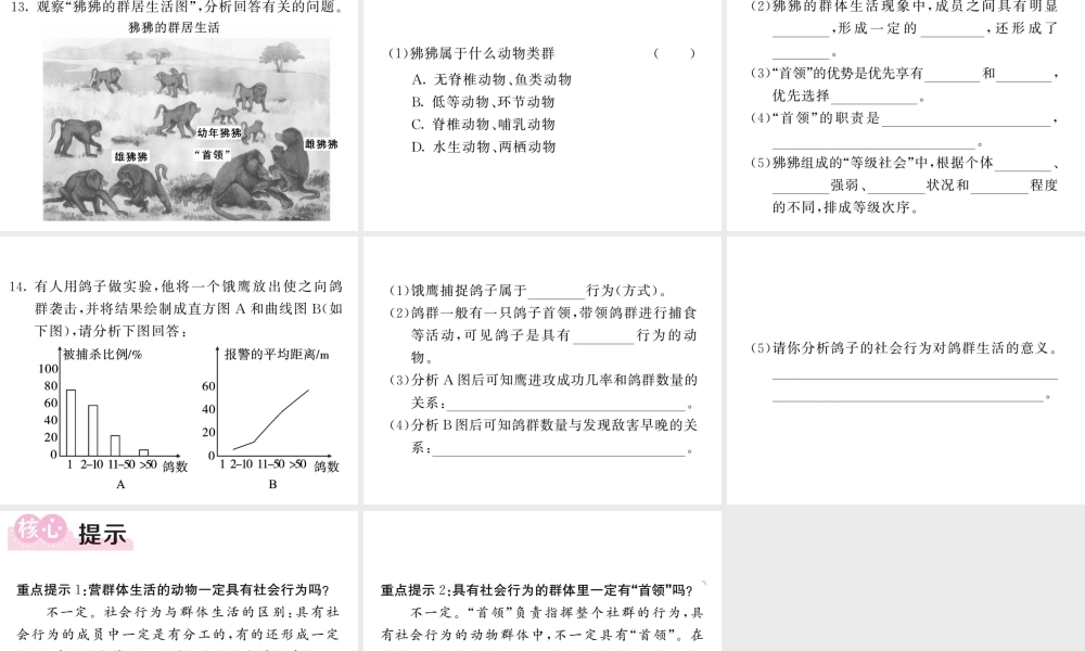 八年级生物上册 第五单元 第二章 第三节 社会行为（第1课时 社会行为的特征）习题课件 （新版）新人教版-（新版）新人教版初中八年级上册生物课件