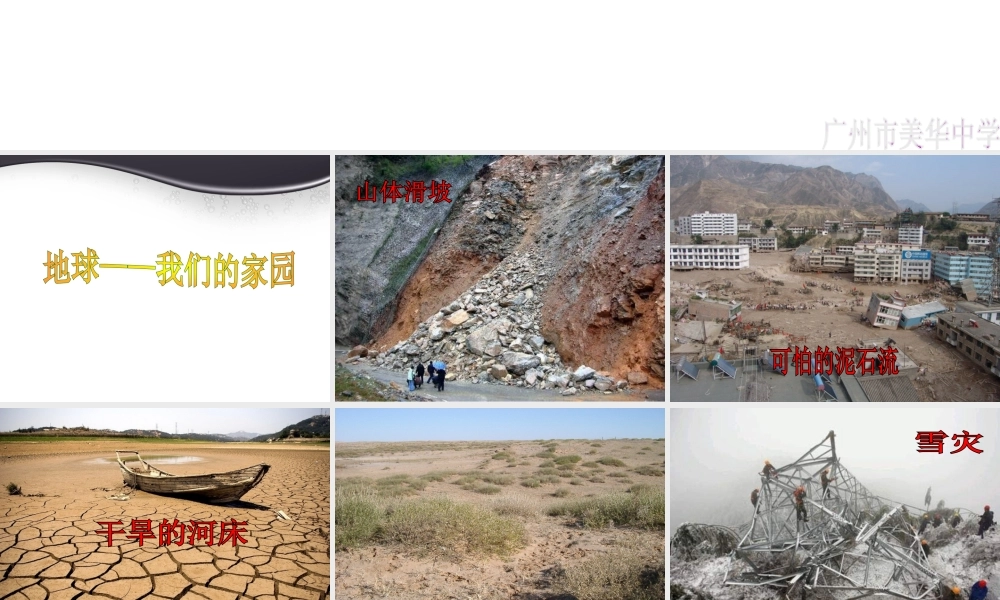 八年级生物上册 第六单元 第三章 保护生物多样性课件 新人教版