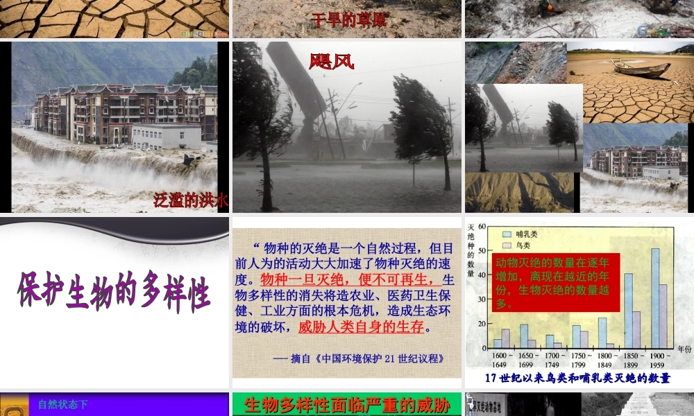 八年级生物上册 第六单元 第三章 保护生物多样性课件 新人教版
