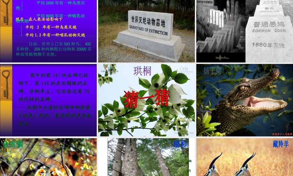 八年级生物上册 第六单元 第三章 保护生物多样性课件 新人教版