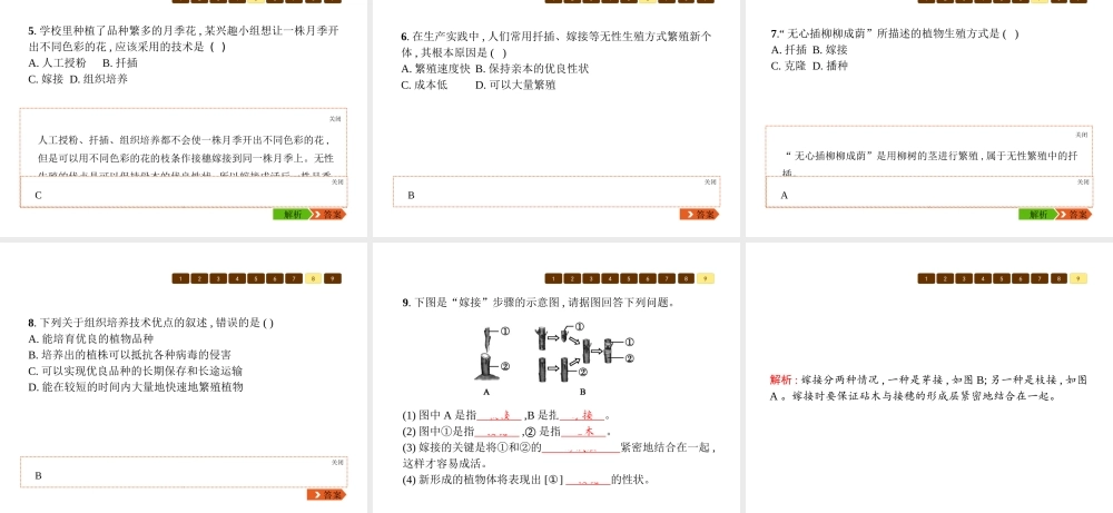 八年级生物上册 第六单元 第19章 第3节 植物的生殖方式课件 （新版）北师大版-（新版）北师大版初中八年级上册生物课件