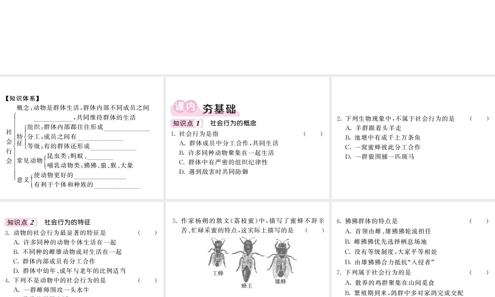 八年级生物上册 第五单元 第二章 第三节 社会行为（第1课时 社会行为的特征）习题课件 （新版）新人教版-（新版）新人教级上册生物课件