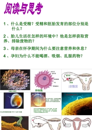 八年级生物上册 第六单元 第三章 第三节 人的生殖和胚胎发育课件 新人教版