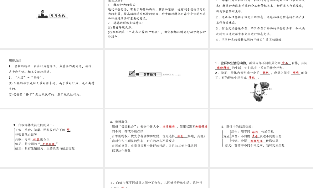 八年级生物上册 第五单元 第二章 第三节 社会行为（第1课时 社会行为特征和群体中的信息交流）习题课件 （新版）新人教版-（新版）新人教版初中八年级上册生物课件