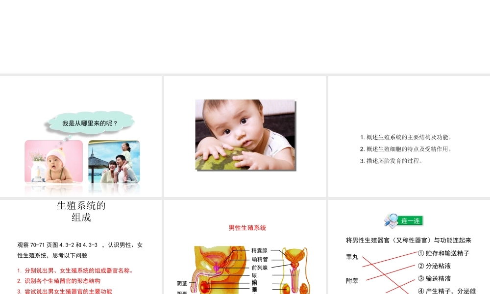 八年级生物上册 第四单元 第三章 第1节《婴儿的诞生》课件 （新版）济南版-（新版）济南版初中八年级上册生物课件