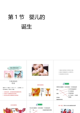 八年级生物上册 第四单元 第三章 第1节《婴儿的诞生》课件 （新版）济南版-（新版）济南版初中八年级上册生物课件