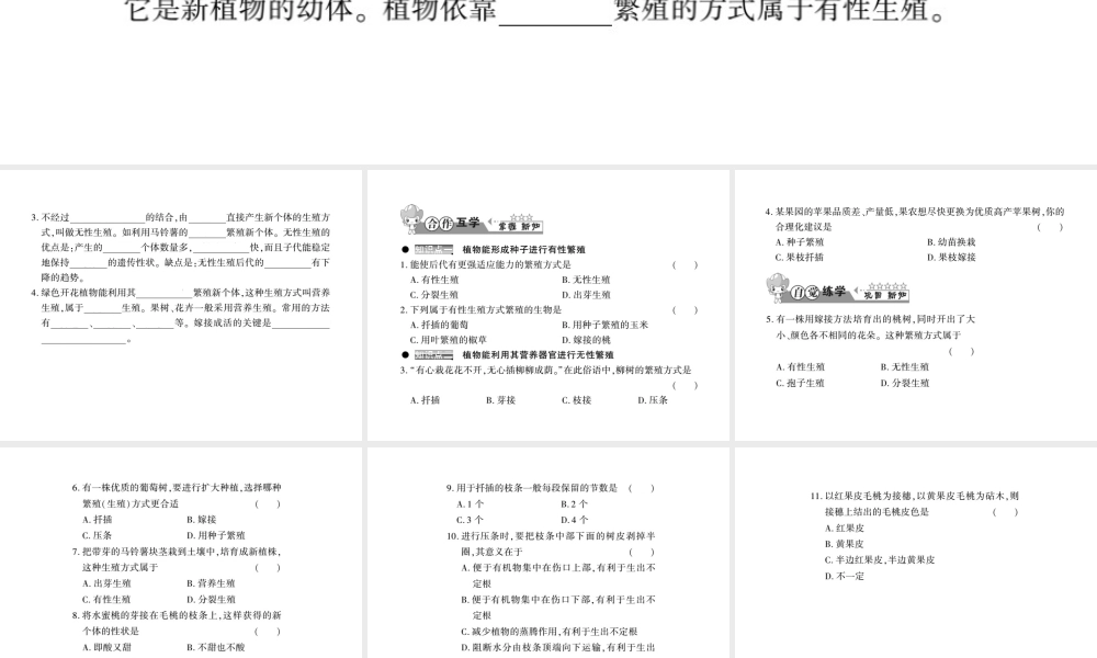 八年级生物上册 第六单元 第19章 第3节 植物的生殖方式习题课件 （新版）北师大版-（新版）北师大级上册生物课件