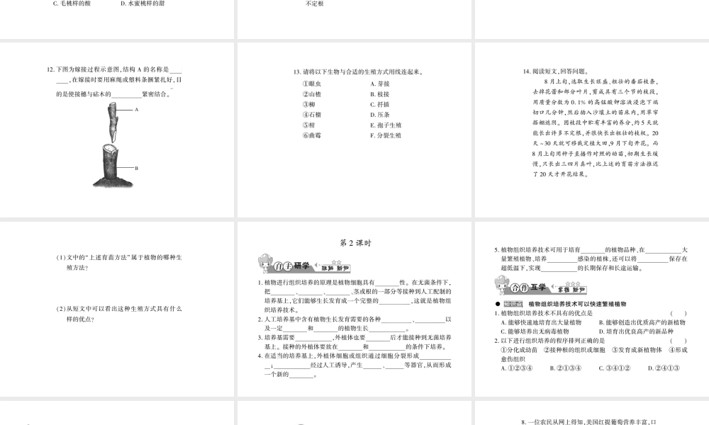 八年级生物上册 第六单元 第19章 第3节 植物的生殖方式习题课件 （新版）北师大版-（新版）北师大级上册生物课件