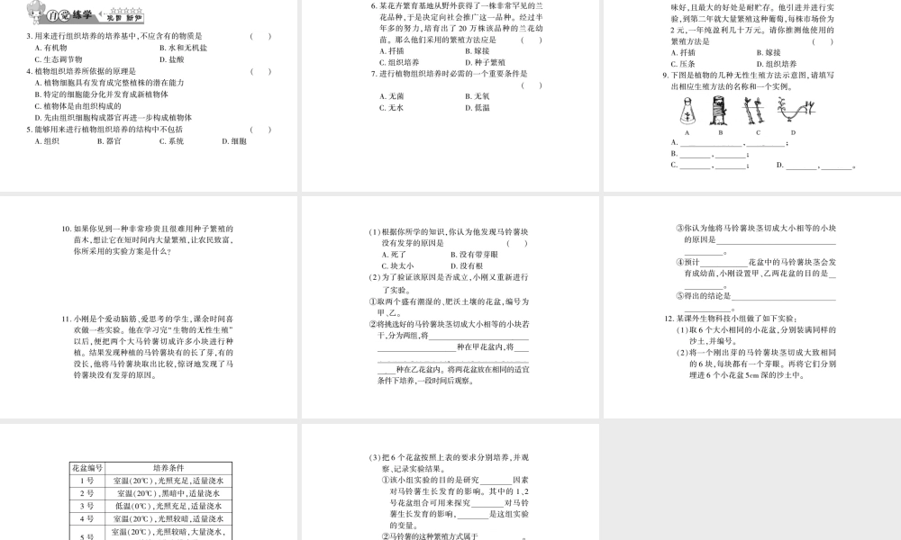 八年级生物上册 第六单元 第19章 第3节 植物的生殖方式习题课件 （新版）北师大版-（新版）北师大级上册生物课件