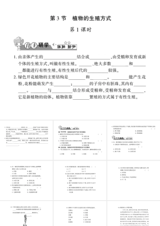 八年级生物上册 第六单元 第19章 第3节 植物的生殖方式习题课件 （新版）北师大版-（新版）北师大级上册生物课件