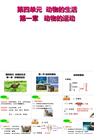 八年级生物上册 第四单元第一章 第一节 运动的基础课件 （新版）冀教版-（新版）冀教级上册生物课件