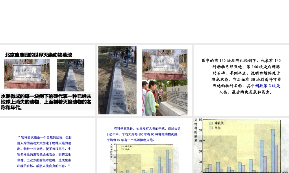 八年级生物上册 第六单元 第三章《保护生物的多样性》课件 新人教版