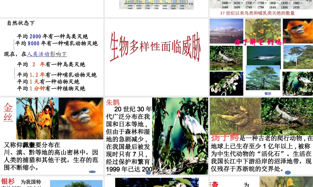 八年级生物上册 第六单元 第三章《保护生物的多样性》课件 新人教版