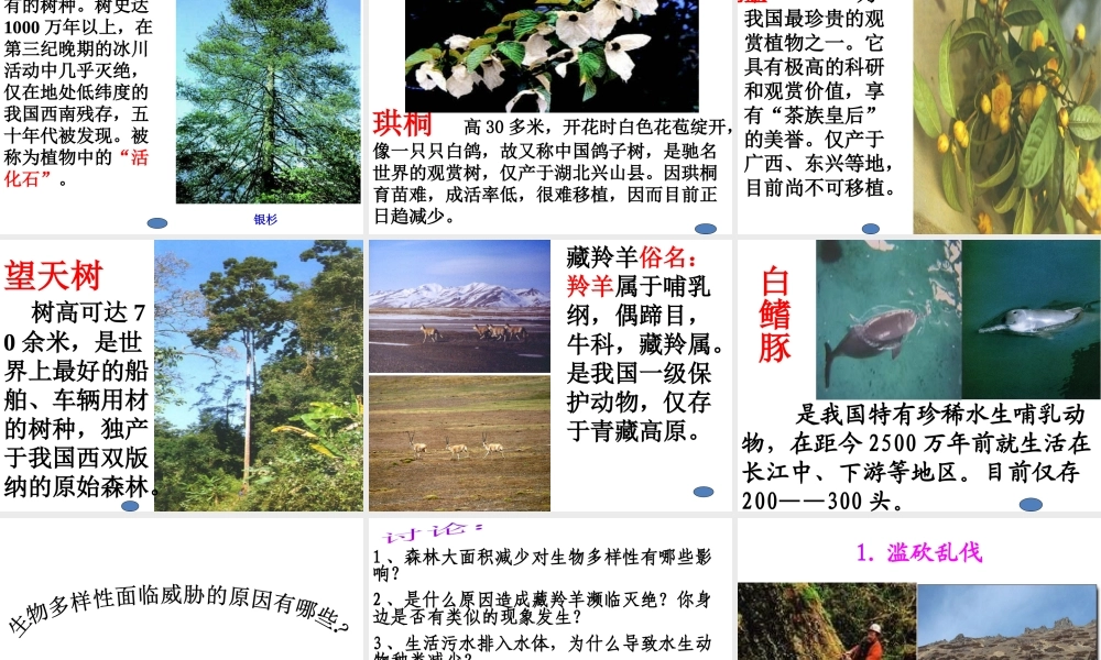 八年级生物上册 第六单元 第三章《保护生物的多样性》课件 新人教版