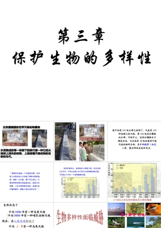 八年级生物上册 第六单元 第三章《保护生物的多样性》课件 新人教版