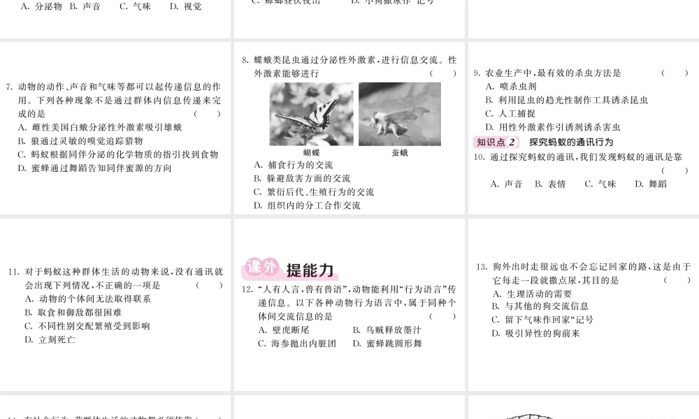 八年级生物上册 第五单元 第二章 第三节 社会行为（第2课时 动物的通讯行为）习题课件 （新版）新人教版-（新版）新人教级上册生物课件