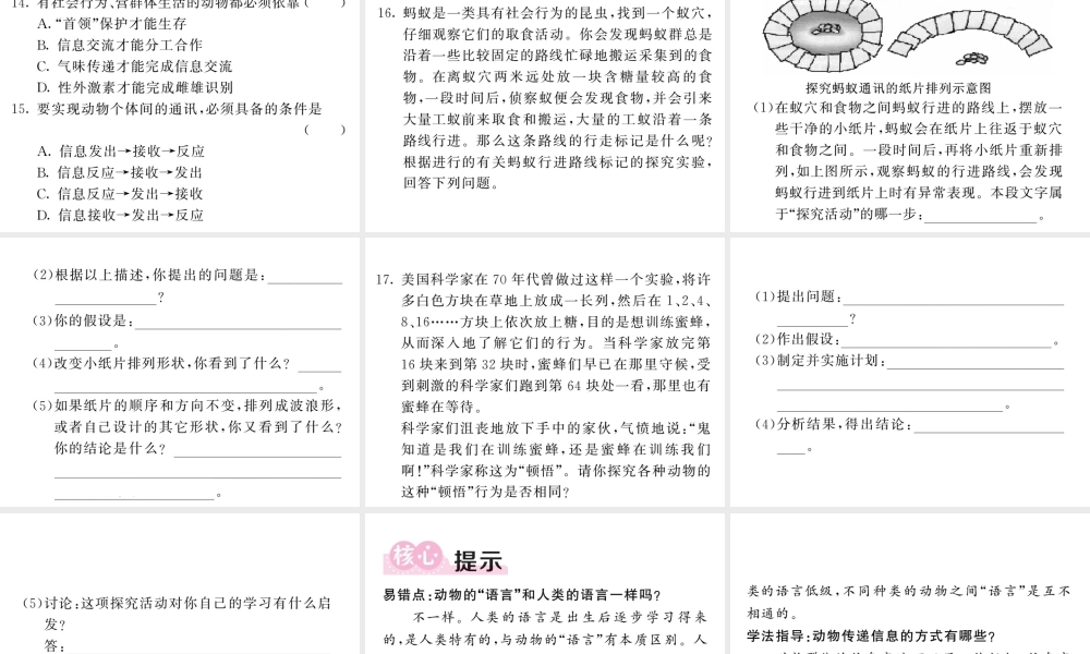 八年级生物上册 第五单元 第二章 第三节 社会行为（第2课时 动物的通讯行为）习题课件 （新版）新人教版-（新版）新人教级上册生物课件