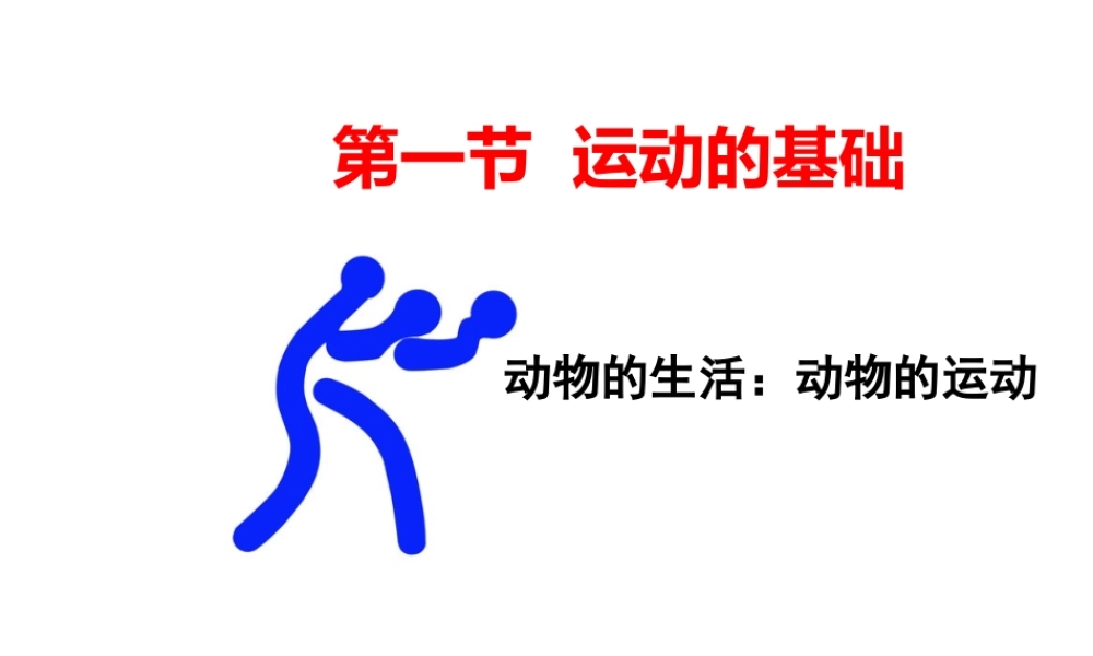 八年级生物上册 第四单元第一章 第一节运动的基础课件 （新版）冀教版-（新版）冀教版初中八年级上册生物课件