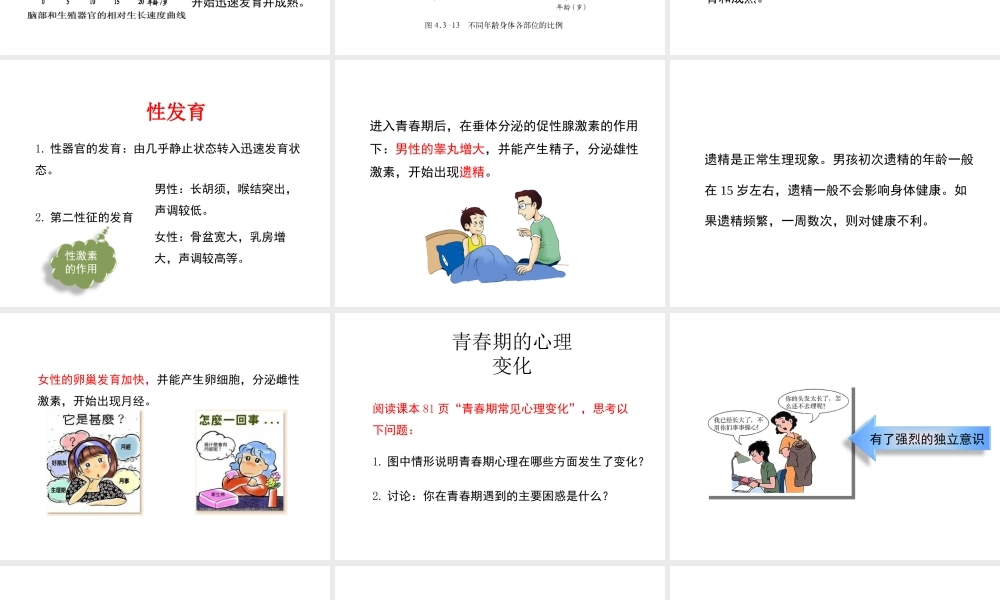 八年级生物上册 第四单元 第三章 第2节《青春期发育》课件 （新版）济南版-（新版）济南版初中八年级上册生物课件