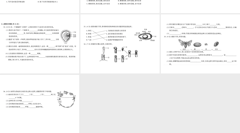 八年级生物上册 第六单元 第19章 生物的生殖和发育测评卷课件 （新版）北师大版-（新版）北师大级上册生物课件
