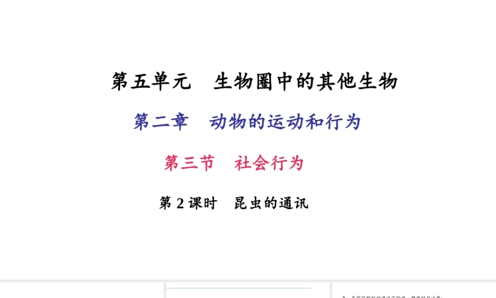 八年级生物上册 第五单元 第二章 第三节 社会行为（第2课时 昆虫的通讯）习题课件 （新版）新人教版-（新版）新人教版初中八年级上册生物课件