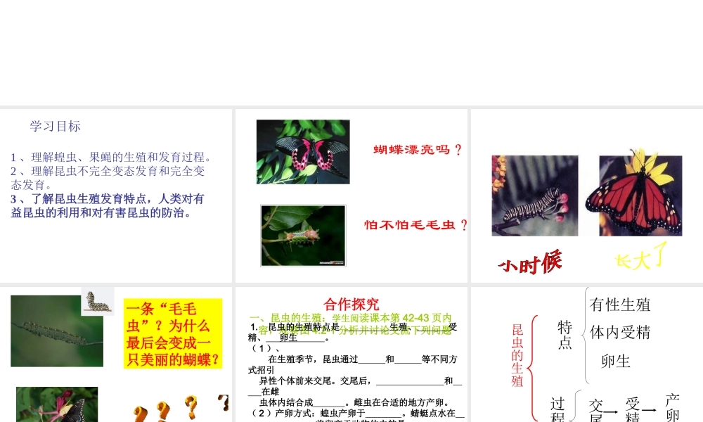 八年级生物上册 第四单元物种的延续第二章动物的生殖和发育第一节昆虫的生殖和发育课件 人教新课标版