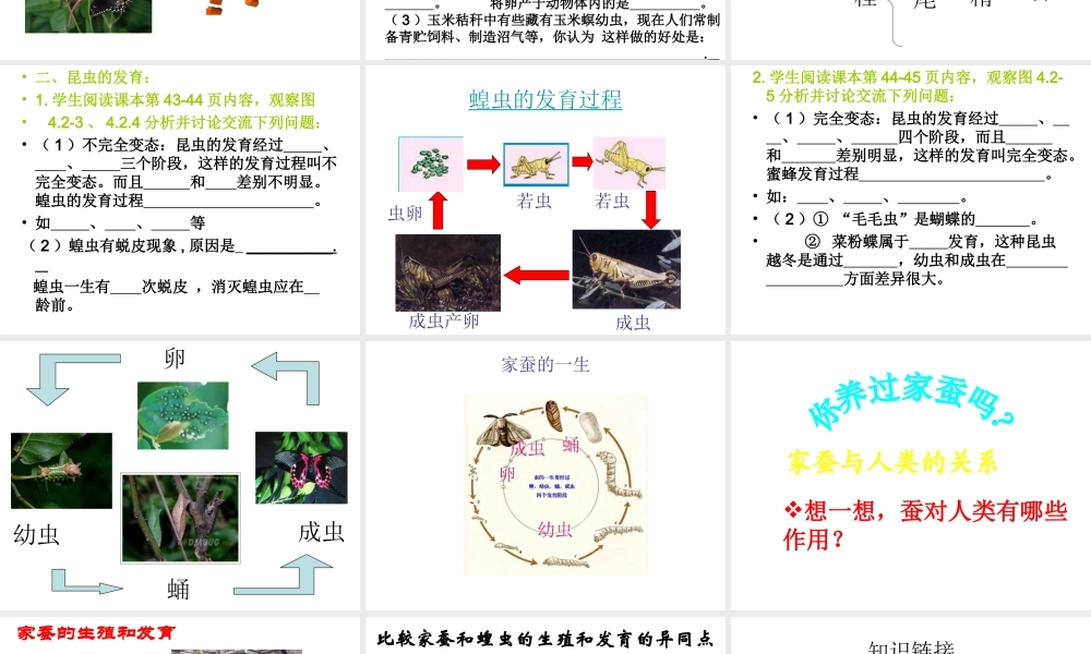八年级生物上册 第四单元物种的延续第二章动物的生殖和发育第一节昆虫的生殖和发育课件 人教新课标版