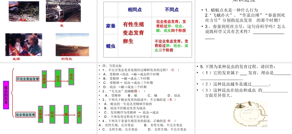 八年级生物上册 第四单元物种的延续第二章动物的生殖和发育第一节昆虫的生殖和发育课件 人教新课标版