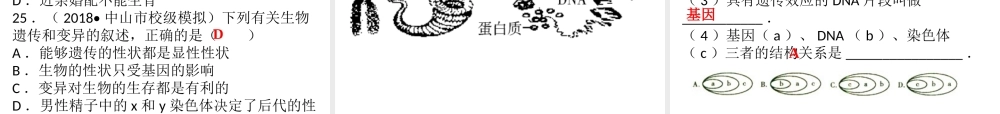 八年级生物上册 第六单元 第生物的遗传和变异综合检测课件 （新版）北师大版-（新版）北师大级上册生物课件