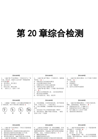 八年级生物上册 第六单元 第生物的遗传和变异综合检测课件 （新版）北师大版-（新版）北师大级上册生物课件