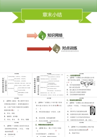 八年级生物上册 第六单元 第19章 生物的生殖和发育章末小结习题课件 （新版）北师大版-（新版）北师大版初中八年级上册生物课件