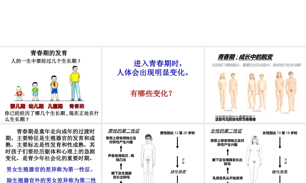 八年级生物上册 第四单元 第三章 第3节《走向成熟》课件1 （新版）济南版-（新版）济南级上册生物课件