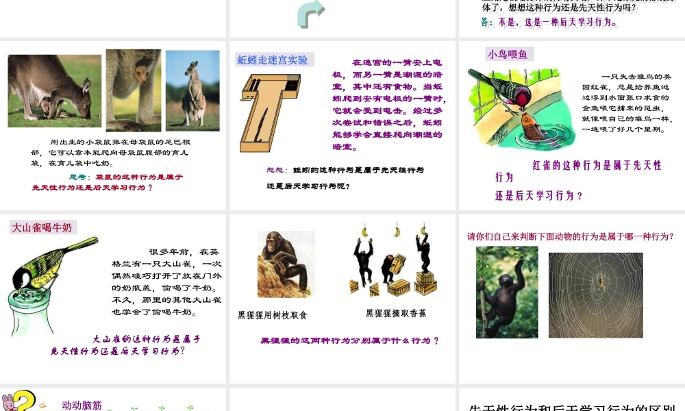 八年级生物上册 第六单元 第十八章 第二节 动物行为的生理基础课件2 （新版）苏教版-（新版）苏教版初中八年级上册生物课件