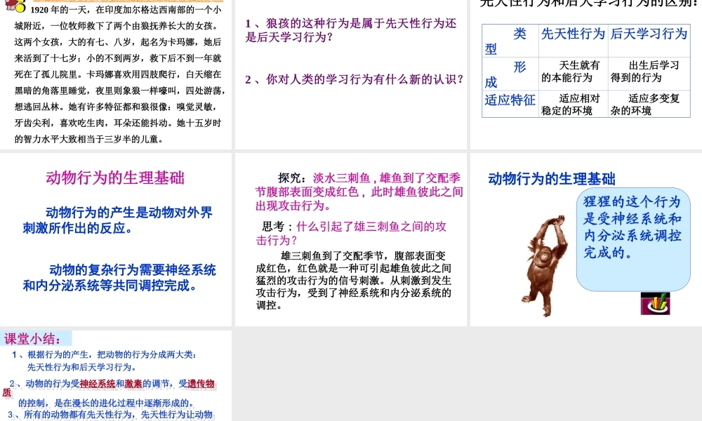 八年级生物上册 第六单元 第十八章 第二节 动物行为的生理基础课件2 （新版）苏教版-（新版）苏教版初中八年级上册生物课件