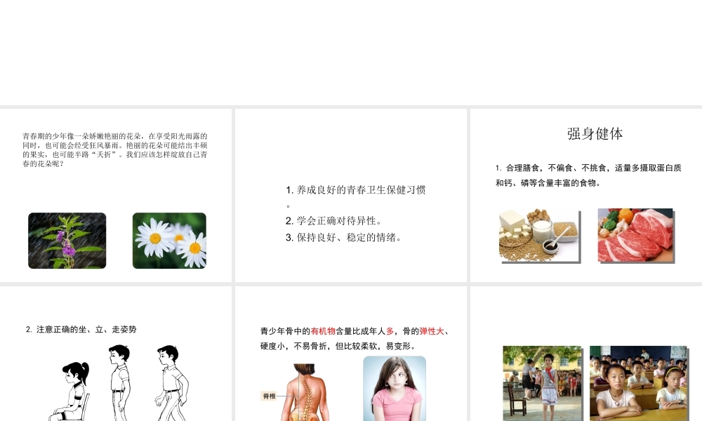 八年级生物上册 第四单元 第三章 第3节《走向成熟》课件2 （新版）济南版-（新版）济南版初中八年级上册生物课件