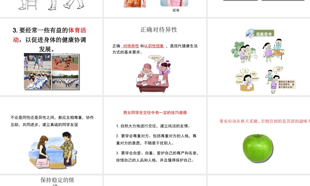 八年级生物上册 第四单元 第三章 第3节《走向成熟》课件2 （新版）济南版-（新版）济南版初中八年级上册生物课件