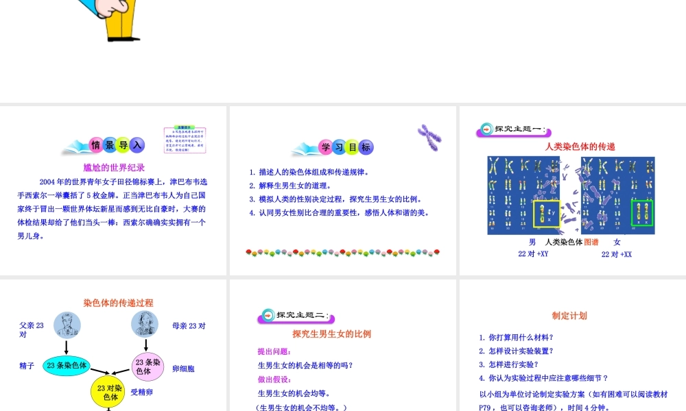 八年级生物上册 第四章 第二节 人类染色体与性别决定课件 济南版