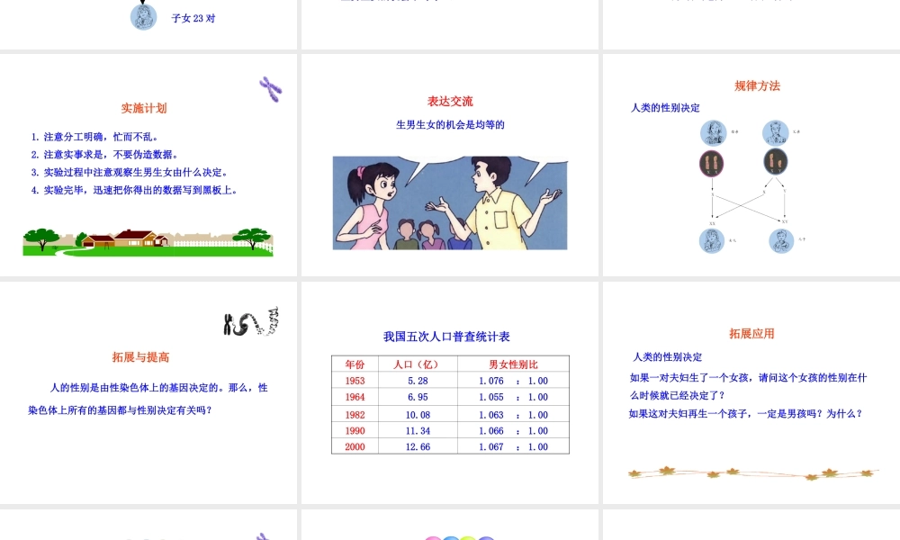 八年级生物上册 第四章 第二节 人类染色体与性别决定课件 济南版