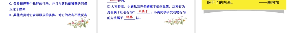 八年级生物上册 第五单元 第二章 第三节 社会行为课件 新人教版