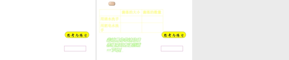 八年级生物上册 第四章 第二节 细菌课件 新人教版
